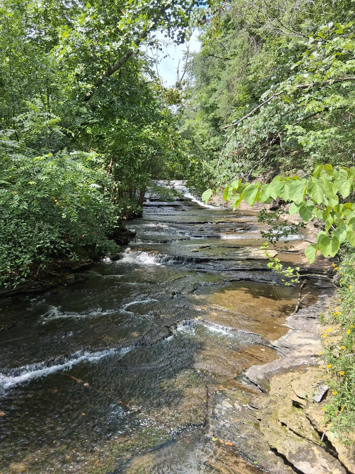 Waterfall stream cascading over limestone steps