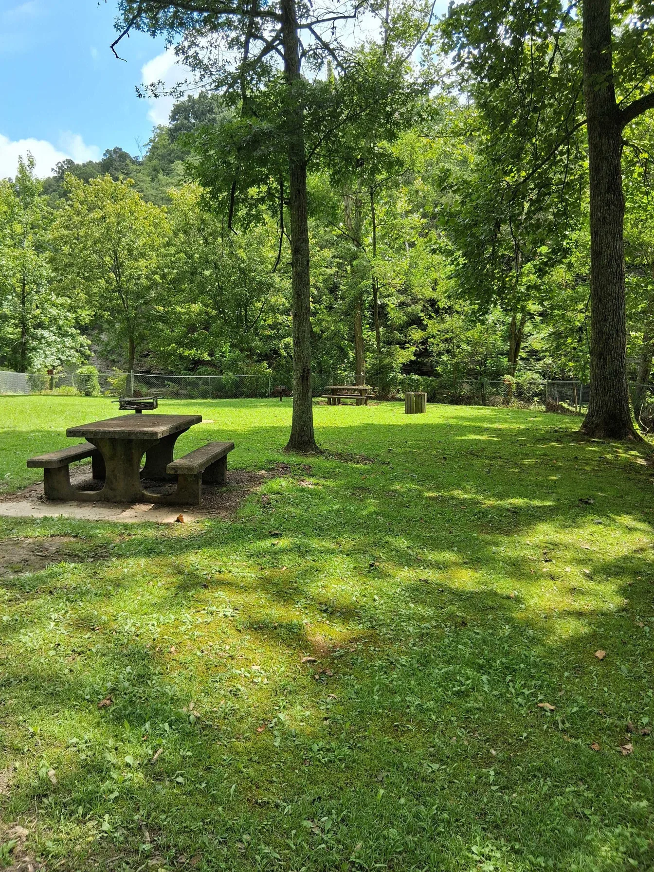 Shaded picnic area at the roadside park