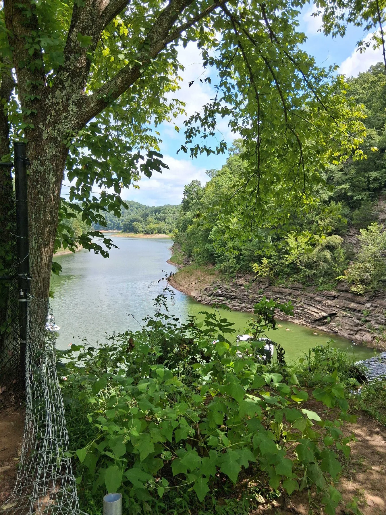 Boats and swimming below the falls on Lake Cumberland