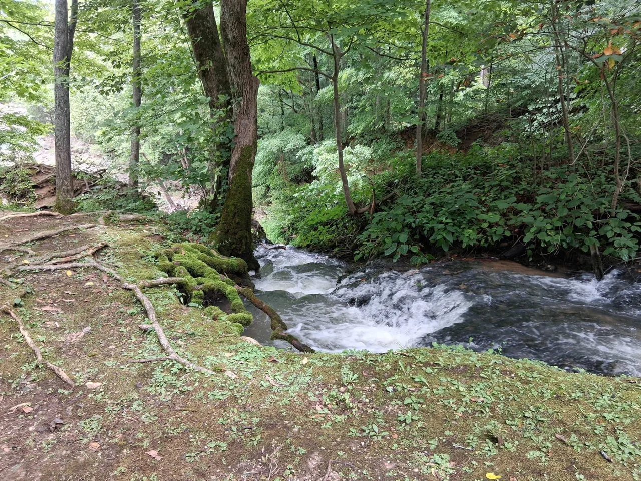 Mill Springs Mill (the big waterwheel) — local photo near Monticello KY on Lake Cumberland